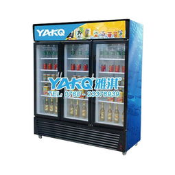 雅淇品牌便利店饮料展示柜 塑料框保鲜冷藏设备的理想之选